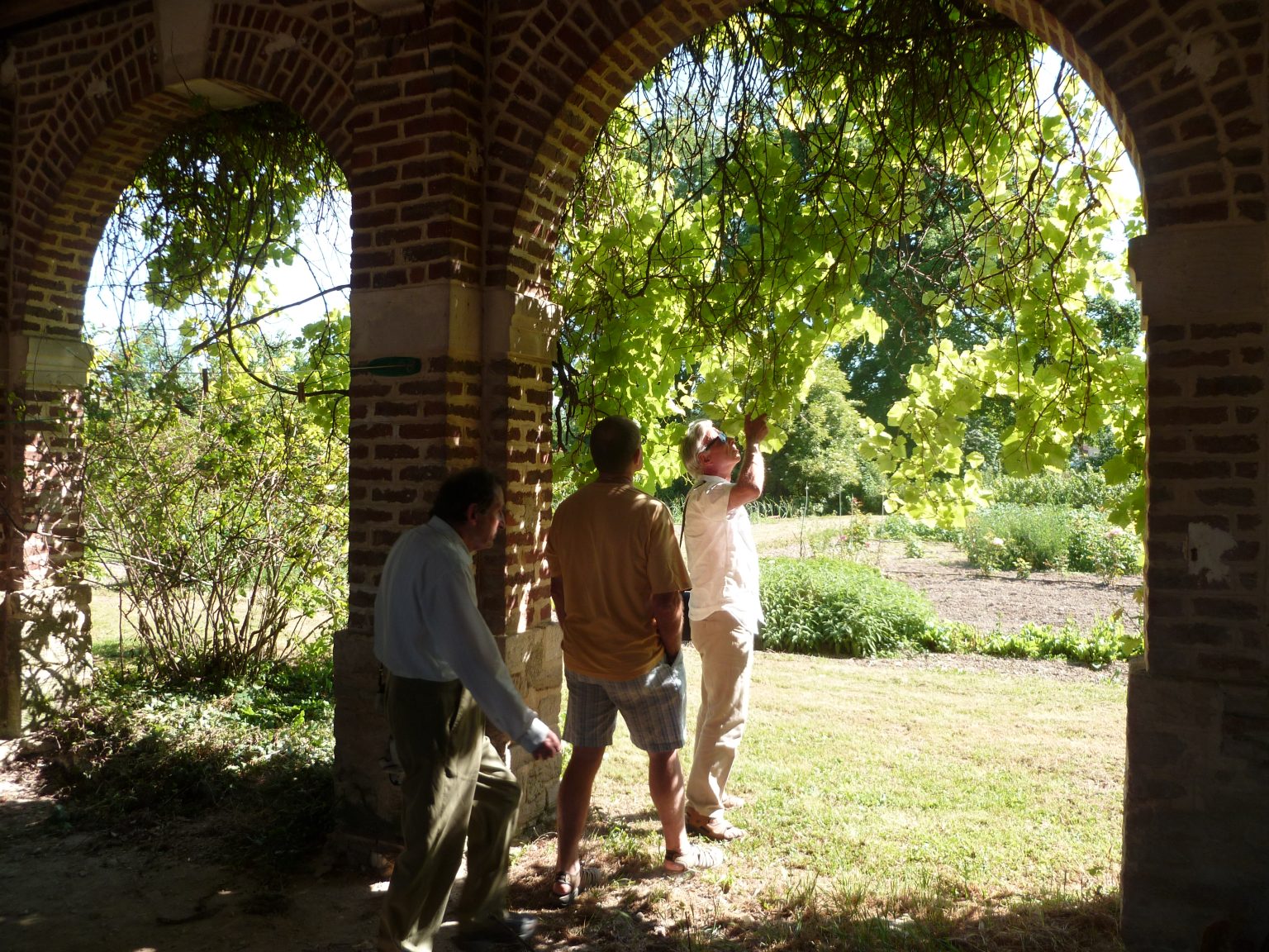 Les Amis du parc - Les Amis du Parc de la Forêt d'Orient